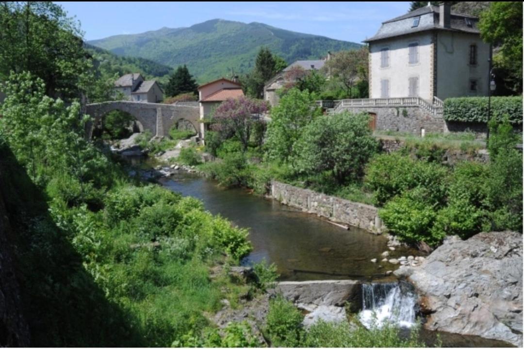 Sur Les Rochers Du Lac & Location-Rando En Vtt Villefort  Exterior photo